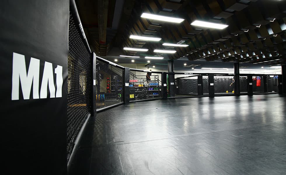 Absolute MMA: a Melbourne visit with room to cross-train