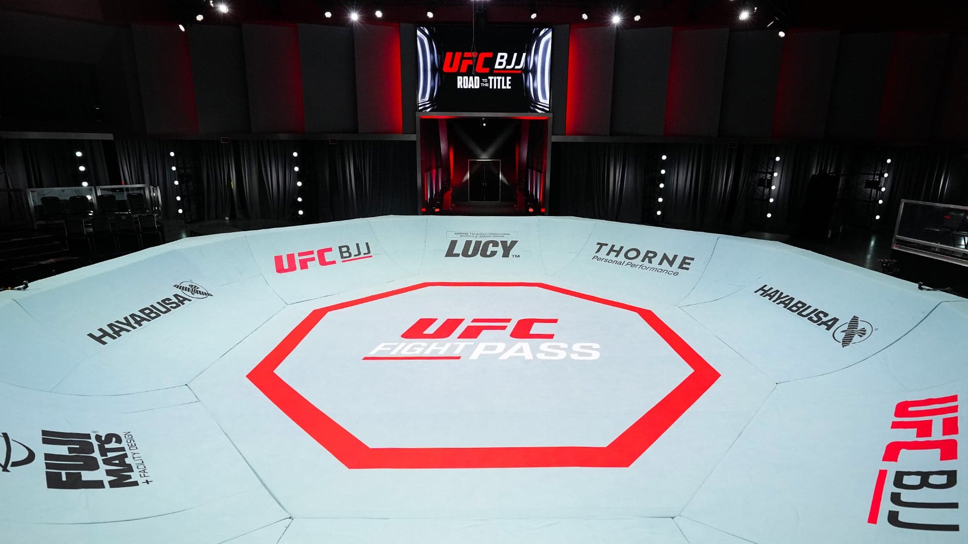 UFC BJJ