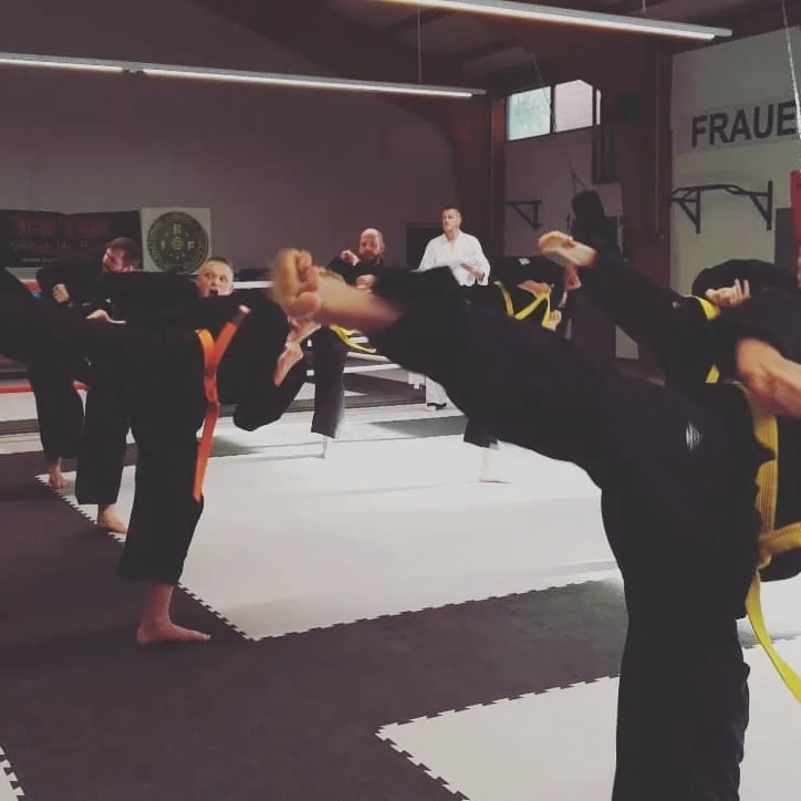 Kampfkunstschule Coesfeld "Taekwondo / Kickboxen / Hapkido / Krav Maga — Brazilian Jiu-Jitsu in Coesfeld, Germany.