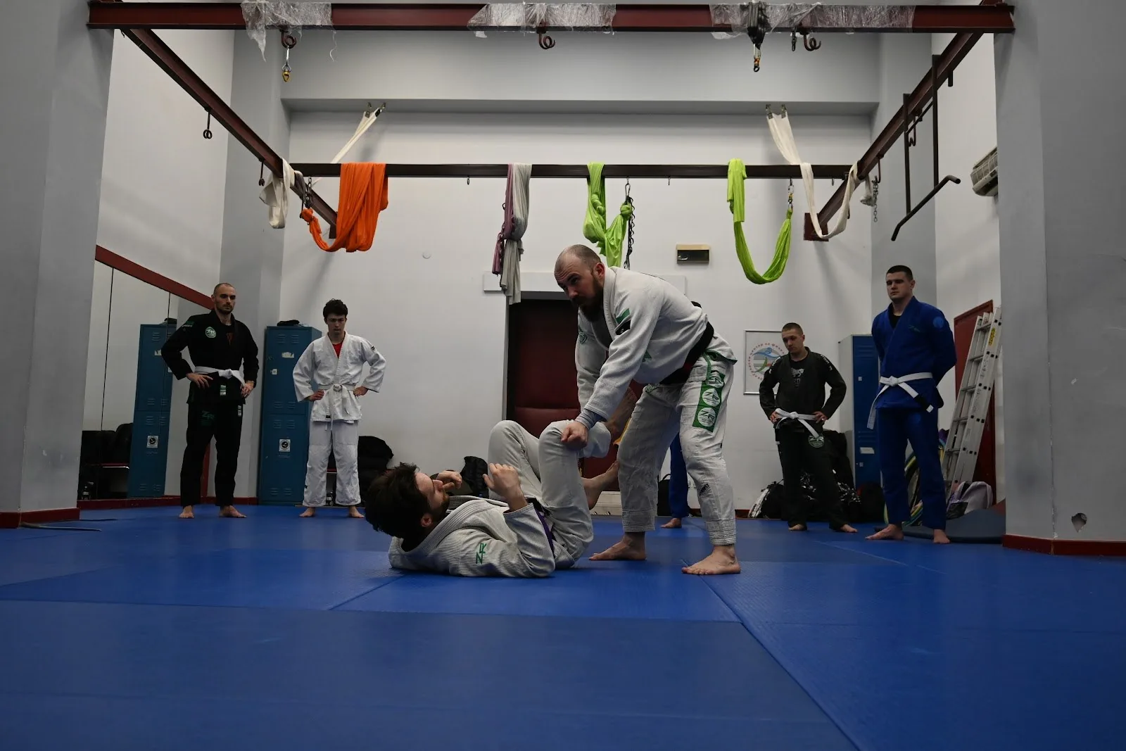 ZR Tim Slavija - Brazilian Jiu Jitsu (Stari DIF Deligradska 27) — Brazilian Jiu-Jitsu in Belgrade, Serbia.
