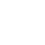 BJJ Calella logo
