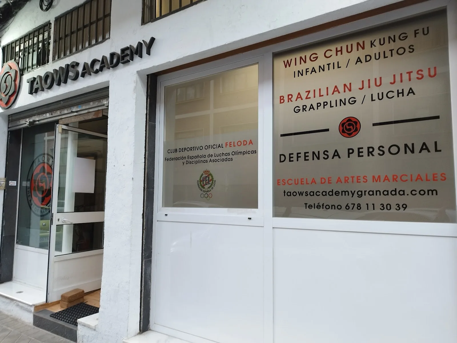 TAOWS Academy Granada (Wing Chun, BJJ, MMA y Defensa Personal Infantil). — Brazilian Jiu-Jitsu in Granada, Spain.