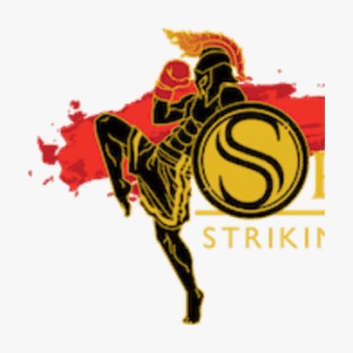 Spartan Striking Academy - Muay Thai Kickboxing, Boxing, Mixed Martial Arts, Brazilian Jiu Jitsu in Richmond Hill — Kids BJJ in Richmond Hill, CA-ON