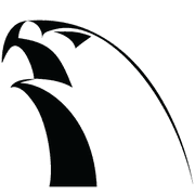 Alliance Jiu Jitsu Laguna Hills - Brazilian Jiu Jitsu, — Alliance