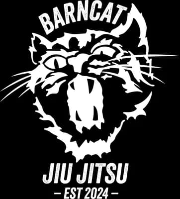 Barncat Jiu Jitsu — Women's BJJ in Phoenix, Arizona