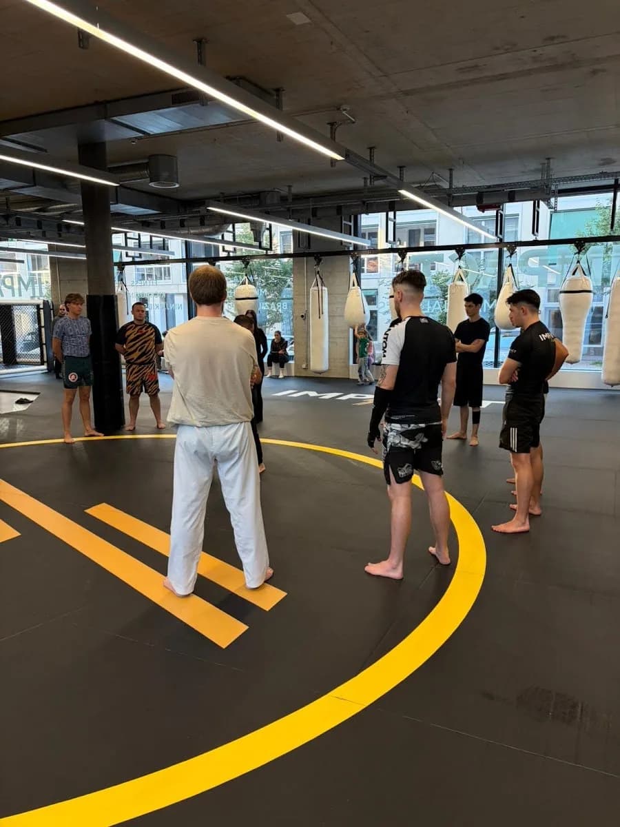IMPACT Martial Arts Winterthur - MMA, Muay Thai, BJJ, Fitness Kickboxing, Self Defense, Boxing, Kidstraining — Brazilian Jiu-Jitsu in Winterthur, Switzerland.