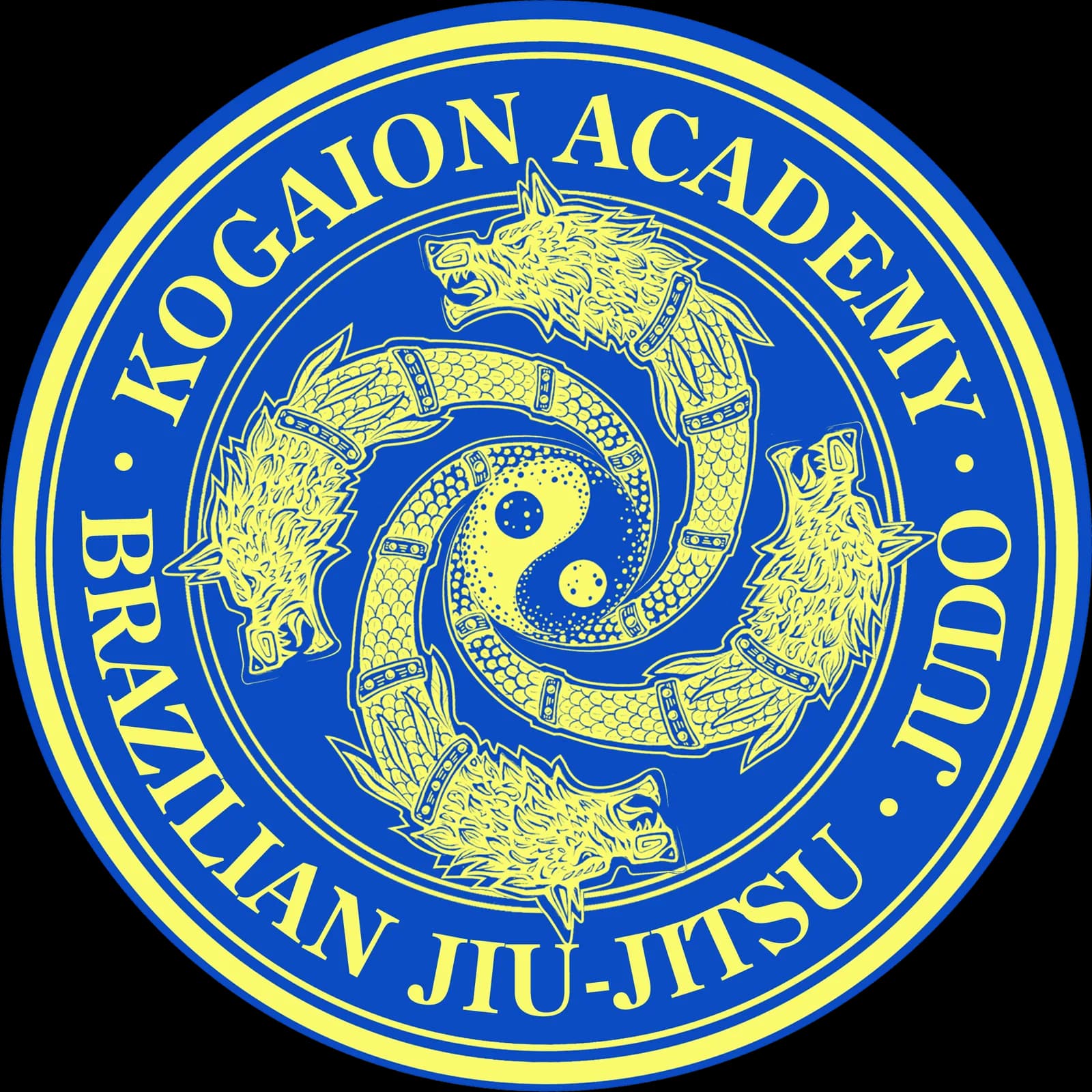 Kogaion Academy — Women's BJJ in Arlington, Virginia
