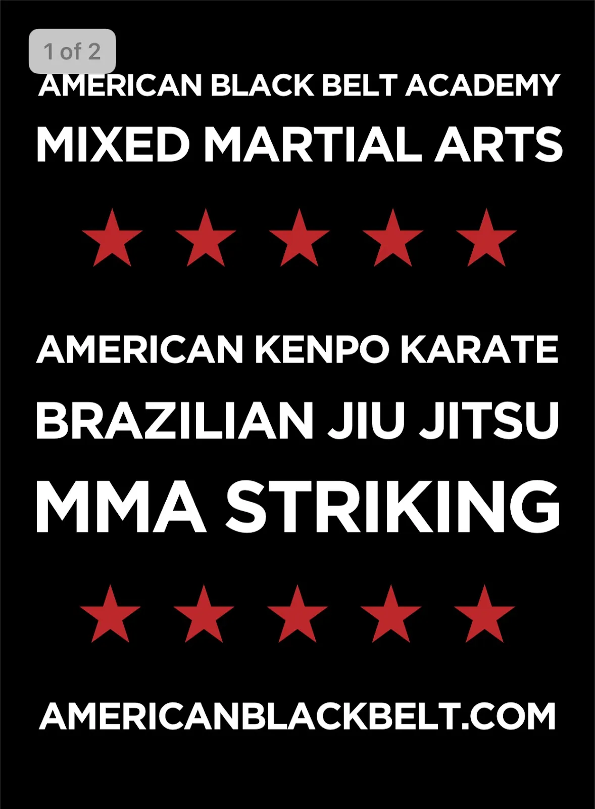 Black vertical banner with white bold text listing American Black Belt Academy, Mixed Martial Arts, American Kenpo Karate, Brazilian Jiu Jitsu, MMA Striking and website, with rows of red stars.