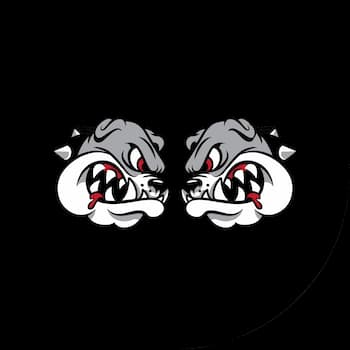Carlson Gracie Jiu Jitsu DFW — Carlson Gracie