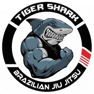 Marcelo Mattos BJJ / Carlson Gracie Team PA — Carlson Gracie