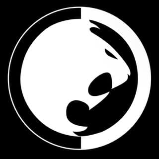Renzo Gracie Jiu Jitsu DFW — Renzo Gracie