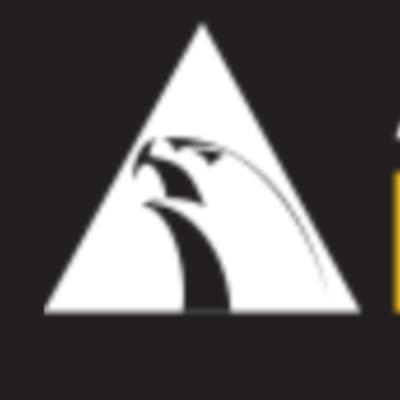 Alliance BJJ Roswell — Alliance