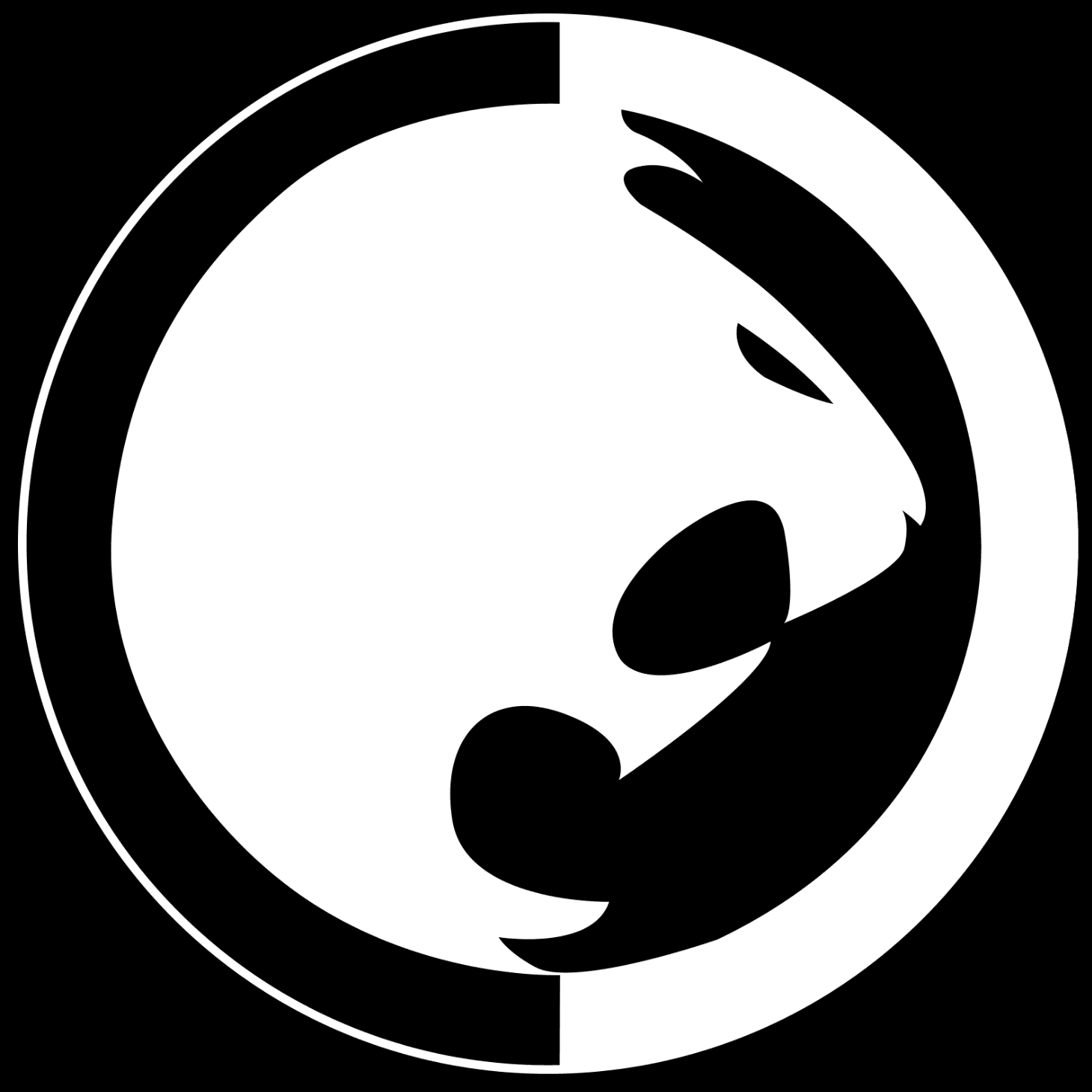 Renzo Gracie Nashville Jiu Jitsu — Renzo Gracie
