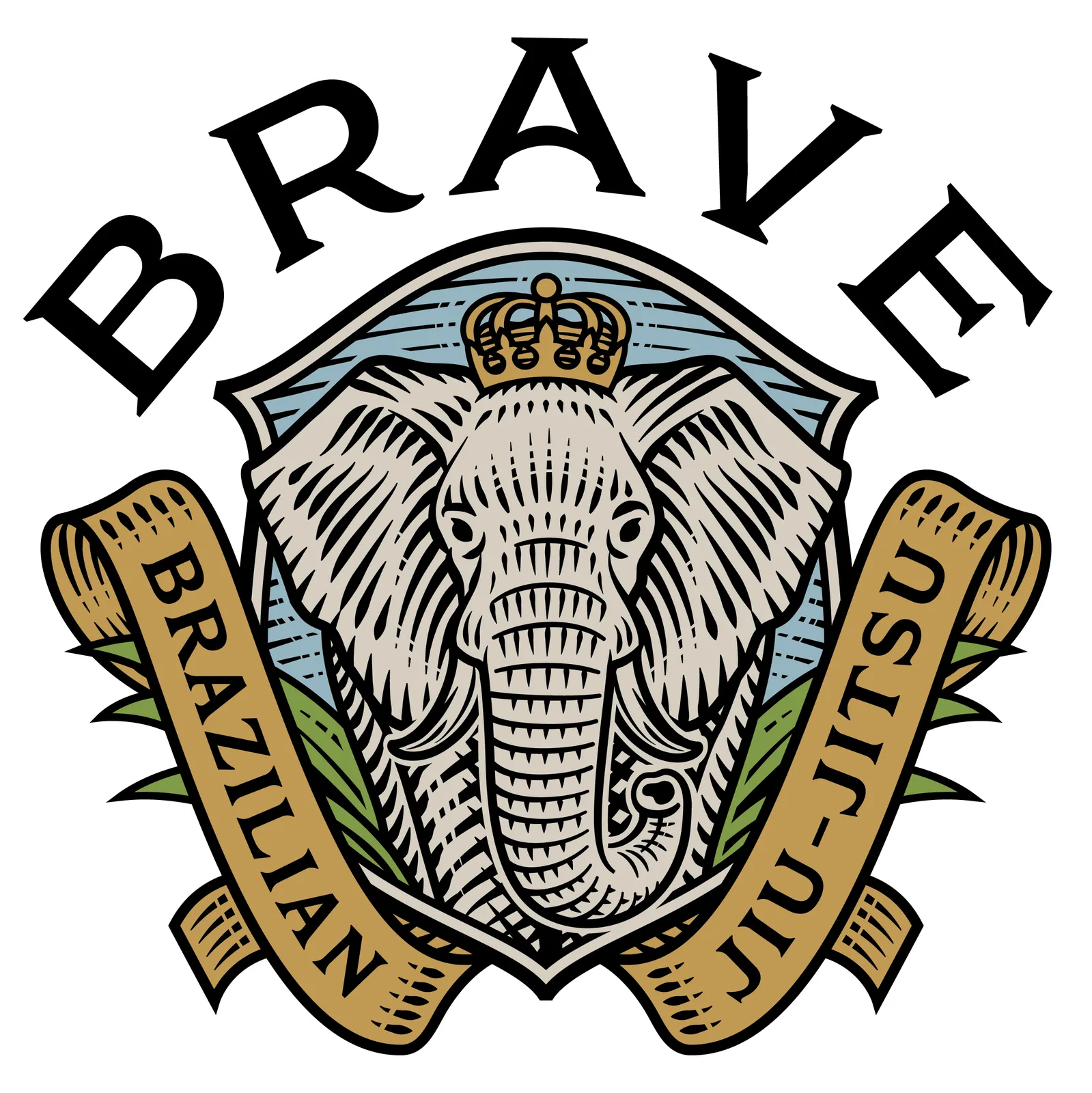 Brave BJJ — Drop-in BJJ in Boise, Idaho