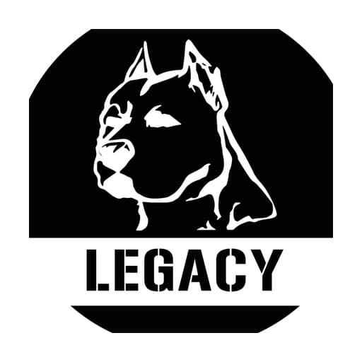 LEGACY STRONGHOLD | Muay Thai & Brazilian Jiu-Jitsu Mississauga — Women's BJJ in Mississauga, CA-ON