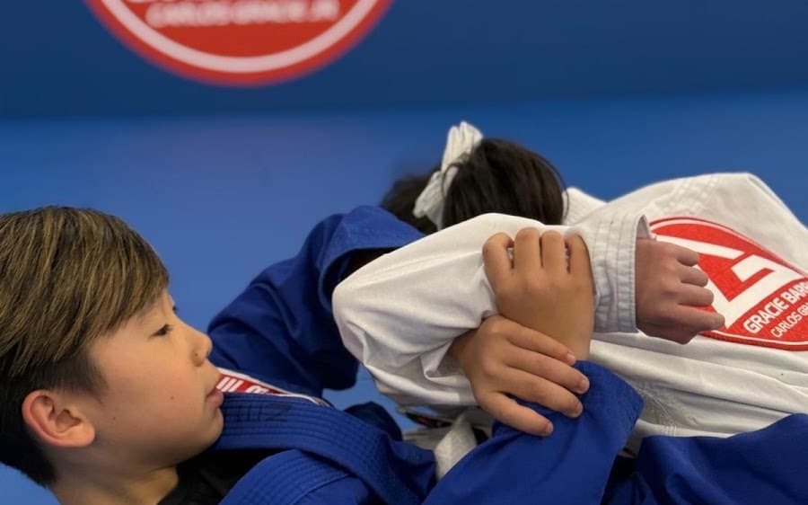 Gracie Barra Artarmon - Jiu-Jitsu & Self-Defence in Sydney's North Shore — Brazilian Jiu-Jitsu in Artarmon, NSW.