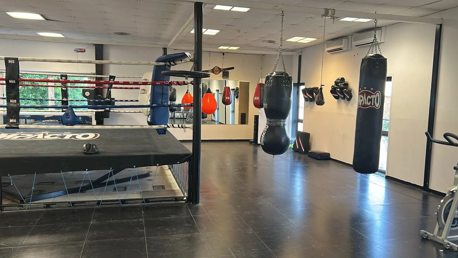 LION FIGHTERS MMA - Artes Marciales Mixtas, Boxeo, Kick boxing, Grappling, Defensa personal. — Brazilian Jiu-Jitsu in Gavà, Spain.