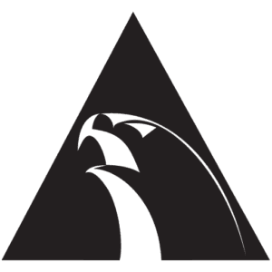 Alliance Jiu jitsu Ramona — Alliance