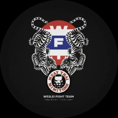 Logo da Weslei Fight Team | Academia de Lutas | loja da luta Muay Thai - Boxe - BJJ - Krav Maga, academia de jiu-jitsu em Santo André
