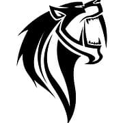 Sabre Jiu Jitsu Academy