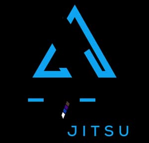 Levels Jiu Jitsu — No-Gi BJJ in Aurora, Illinois