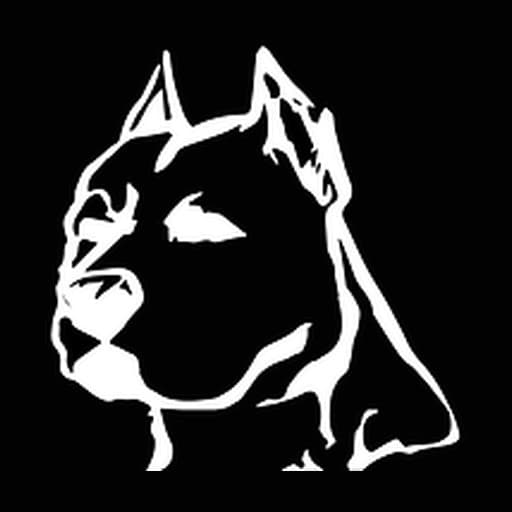 LEGACY FIGHT CLUB | Muay Thai, Brazilian Jiu-Jitsu, MMA Barrie — No-Gi BJJ in Barrie, CA-ON