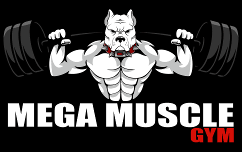 Academia Mega Muscle Gym | Jiu Jitsu | Muay Thai | Musculação logo
