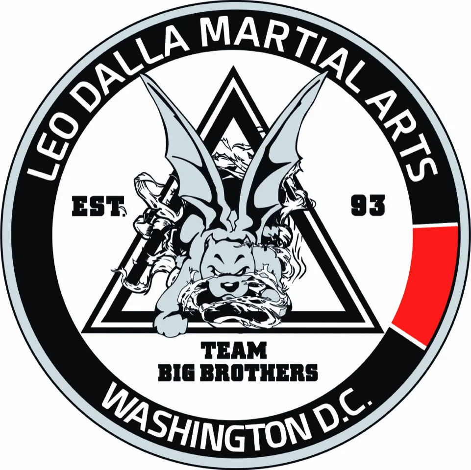 Leo Dalla Brazilian Jiu jitsu — BJJ Open Mat in Arlington, Virginia