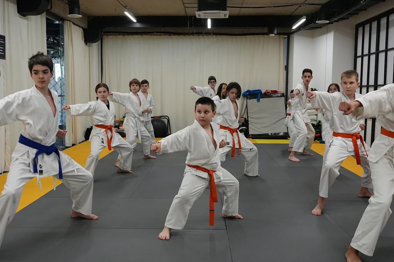 Gymnasia Sports | Judo · BJJ · Grappling · Wrestling · Boxing · MMA · Karate · Fitness · Gym · VO2MAX — Brazilian Jiu-Jitsu in Tbilisi, Georgia.