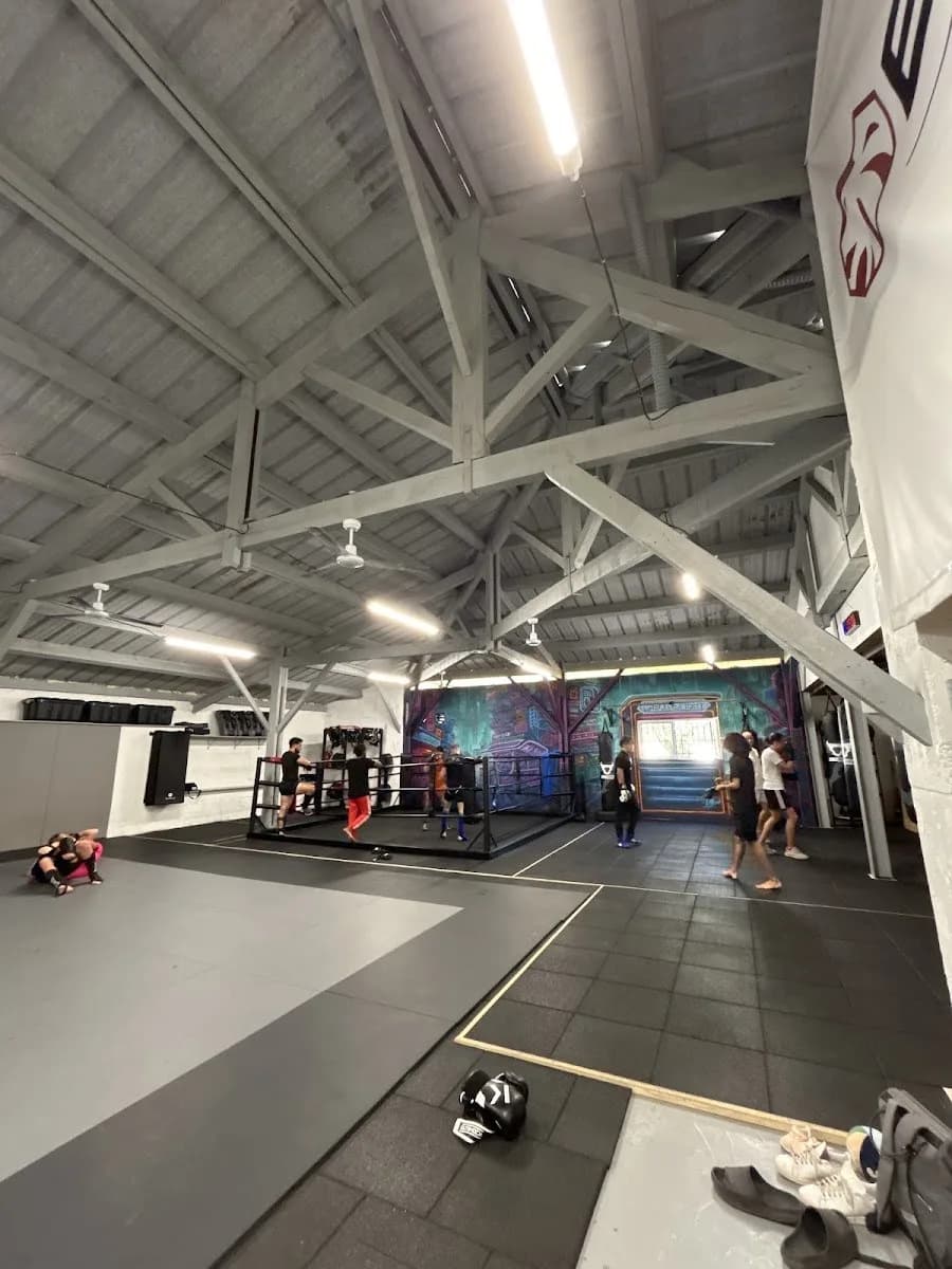 Elite Fight - Mma / Boxe / Kick-Boxing / Training — Brazilian Jiu-Jitsu in La Garde, France.