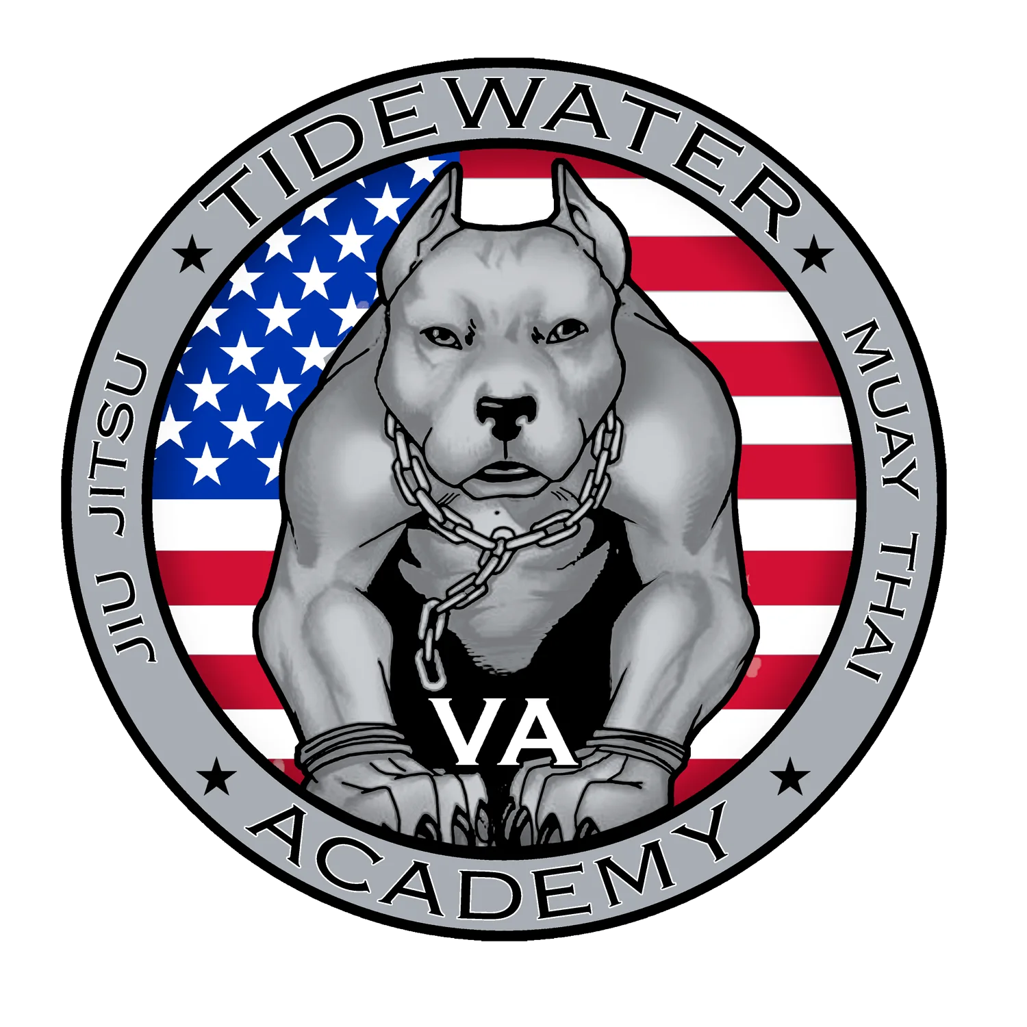 Tidewater Brazilian Jiu Jitsu — BJJ gym in Chesapeake