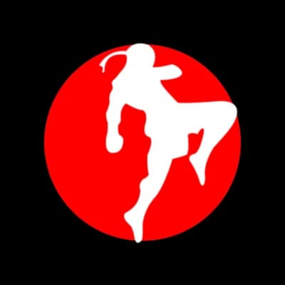 Logo da Team Silvério Alphaville | Boxe, Jiu-Jitsu, Muay Thai e MMA, academia de jiu-jitsu em Santana de Parnaíba
