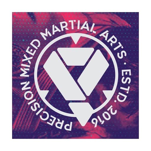 Precision Mixed Martial Arts — Kids BJJ in Kitchener, CA-ON