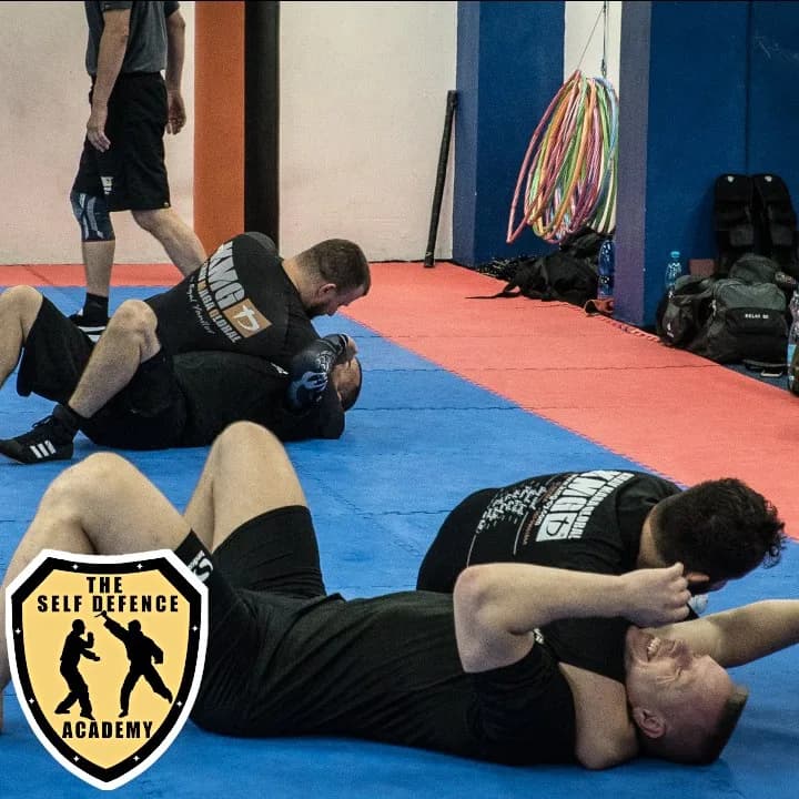The Self Defence Academy - Martial arts and self defence school — Brazilian Jiu-Jitsu in Northwood, United Kingdom.