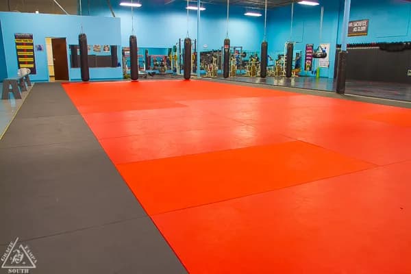 Gracie Tampa South MMA and BJJ — BJJ gym in Tampa