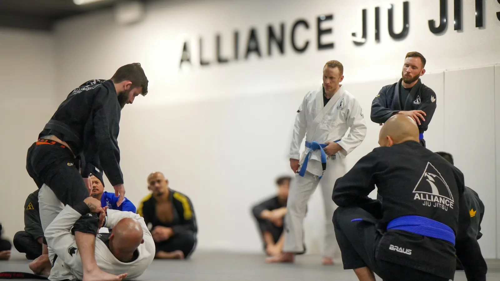 Alliance Jiu Jitsu Chula Vista — BJJ gym in Chula Vista