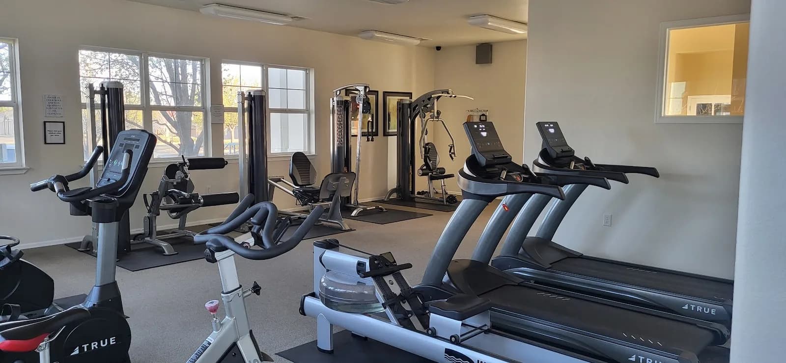 Ivy League Jiu Jitsu, Martial Arts & Body Mechanic Fixes — BJJ gym in Aurora