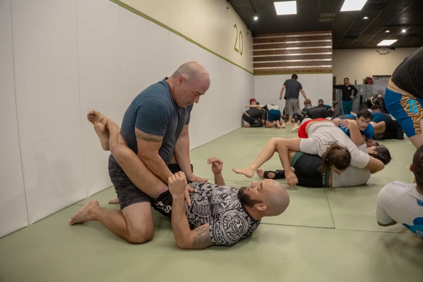 Tutela Jiu Jitsu 2.0 Martial Arts Academy - Corpus Christi — BJJ gym in Corpus Christi