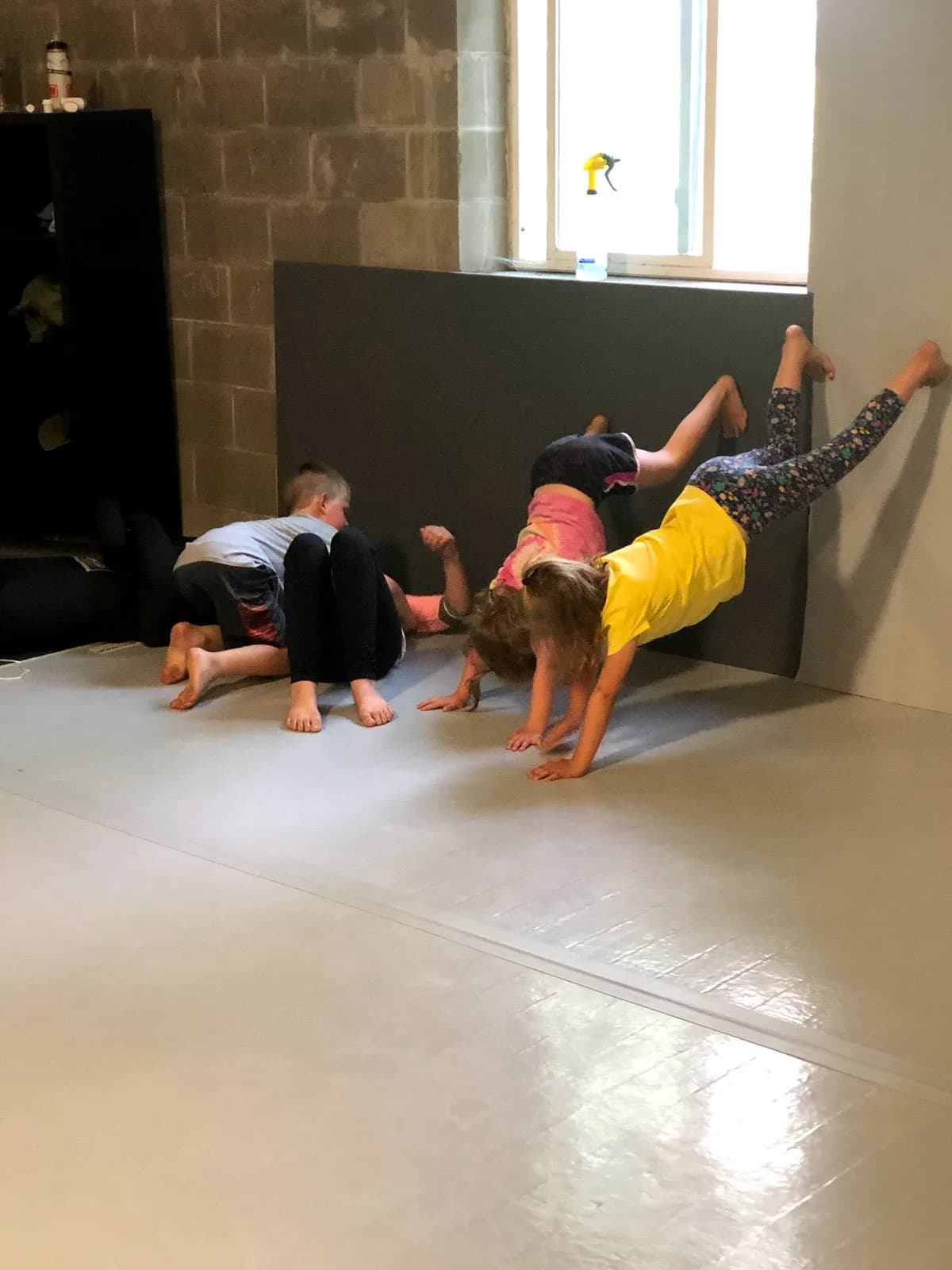 Alliance BJJ St. Croix/ Olson's Judo Academy — Alliance