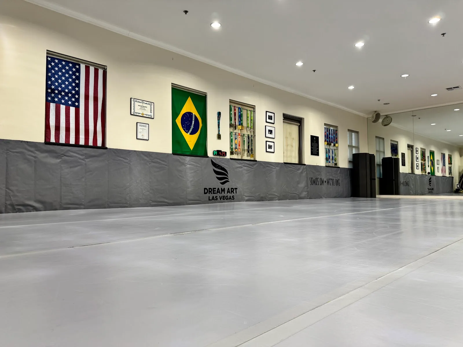 Dream Art Jiu Jitsu - Las Vegas — BJJ gym in Henderson