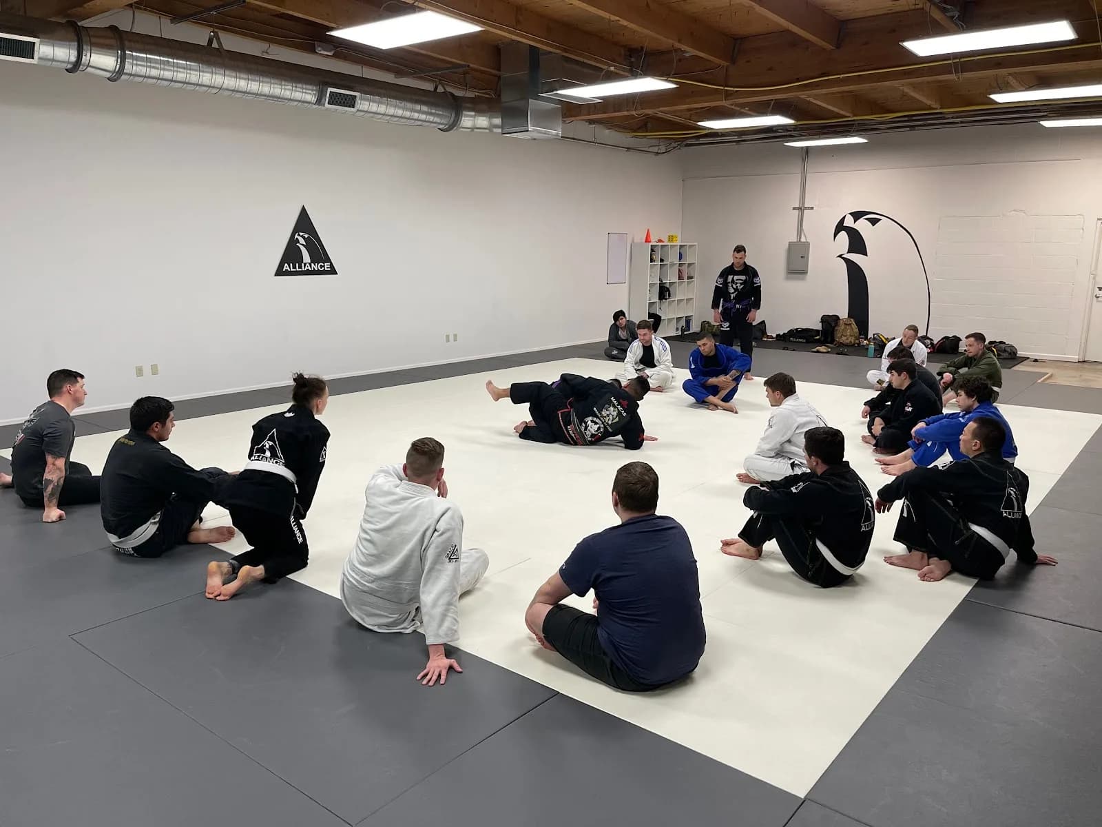 Alliance BJJ Lacey — Alliance