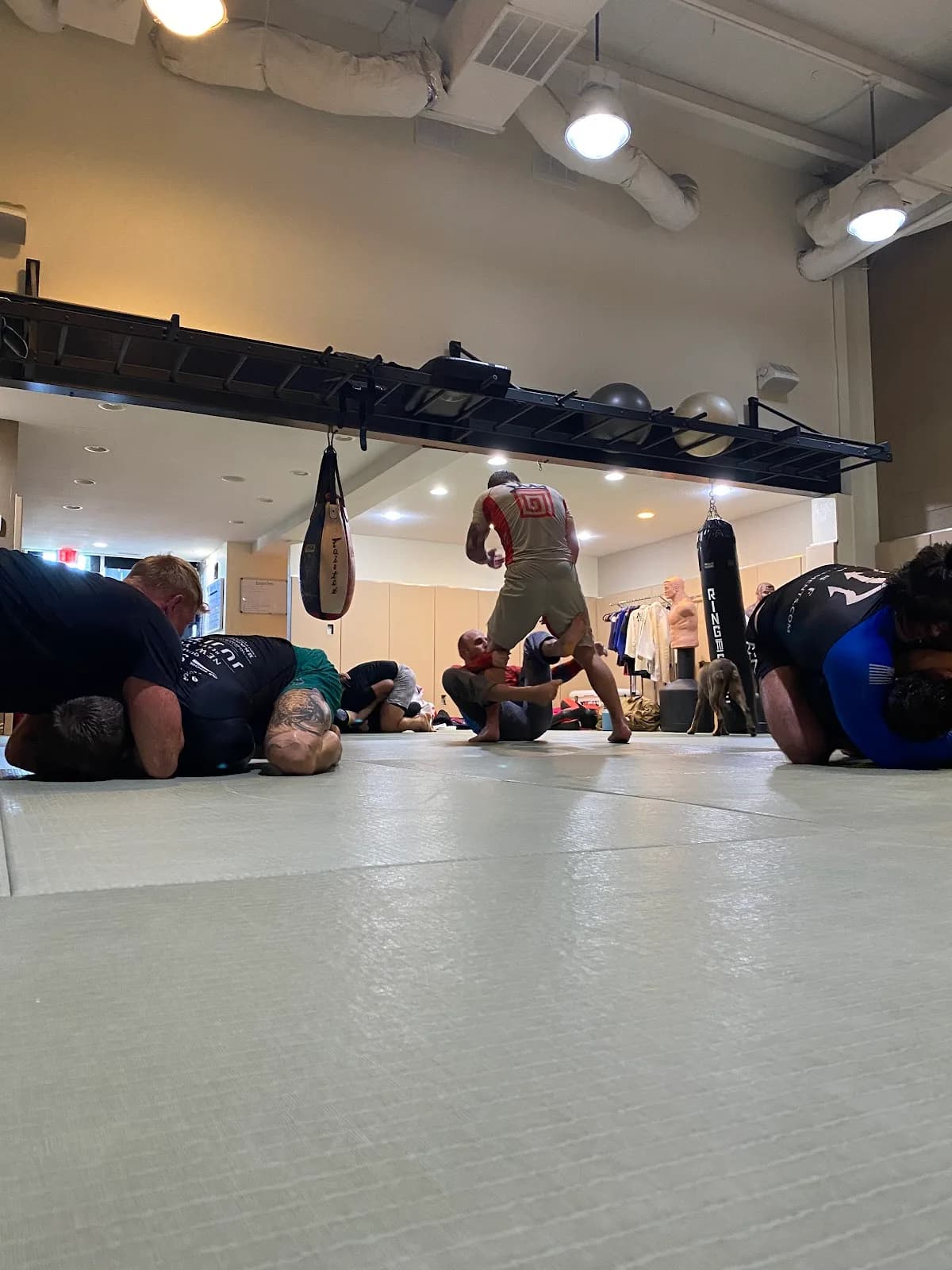 Tidewater BJJ Academy Virginia Beach — BJJ gym in Virginia Beach