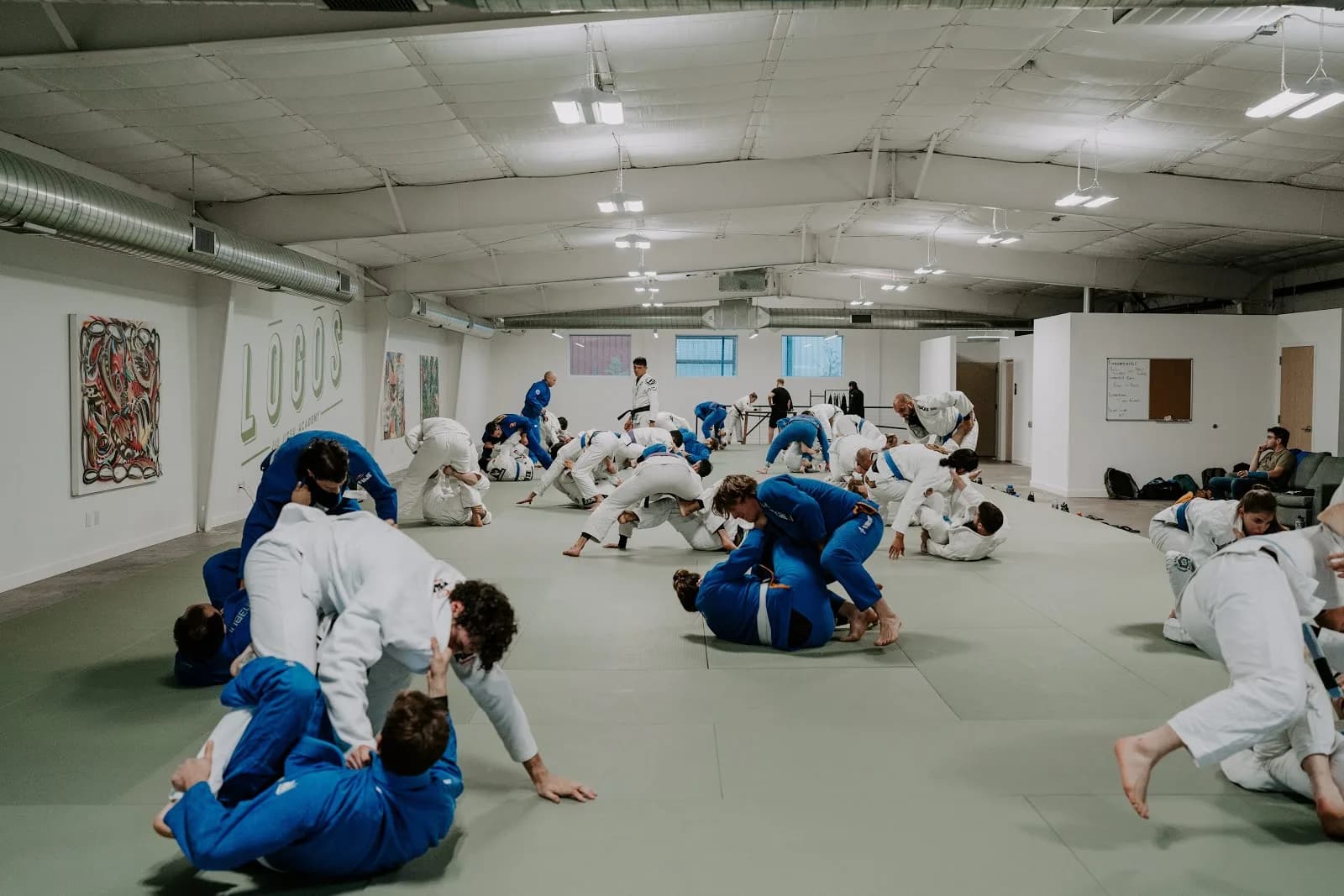 L?g?s Jiu Jitsu