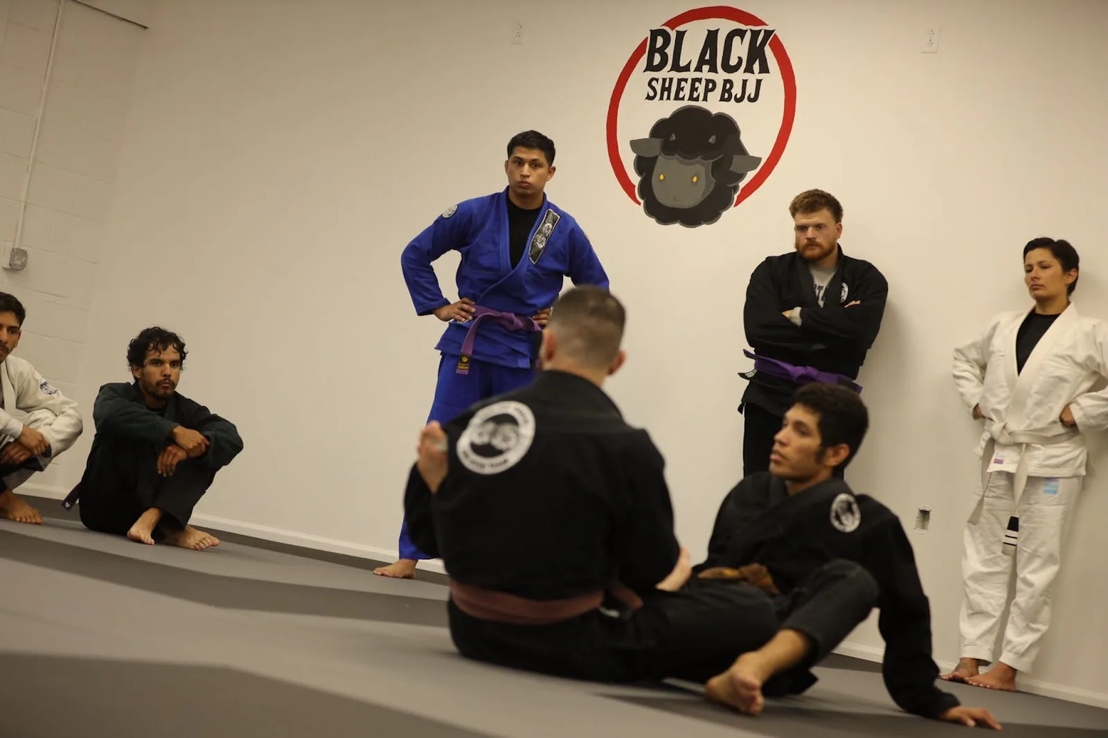 Black Sheep BJJ/Carlson Gracie Jiu Jitsu El Paso — Carlson Gracie