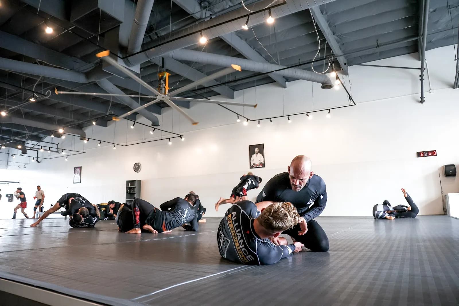 Alliance Jiu Jitsu San Diego — BJJ gym in San Diego