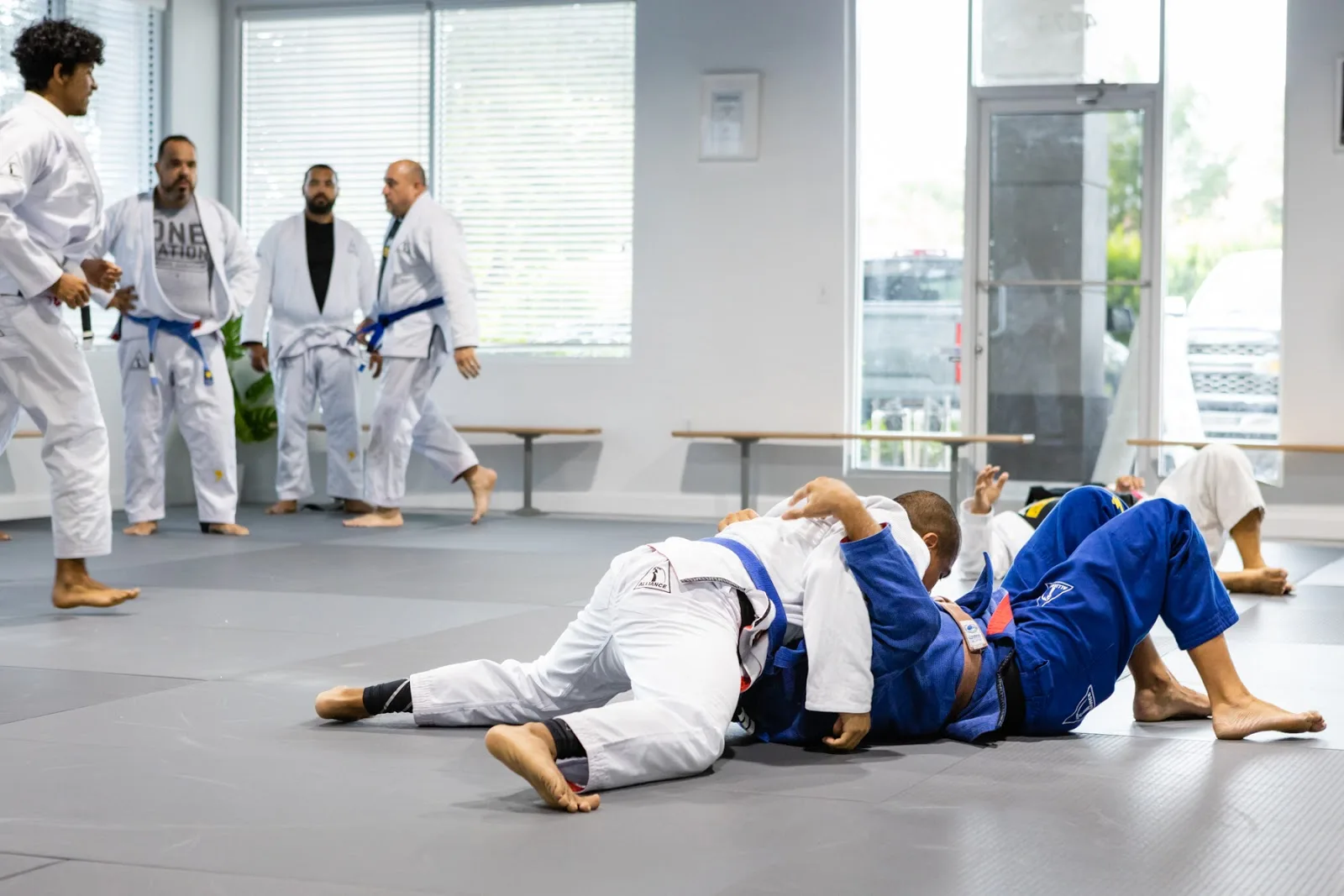 ALLIANCE JIU JITSU MARTIAL ARTS — Alliance