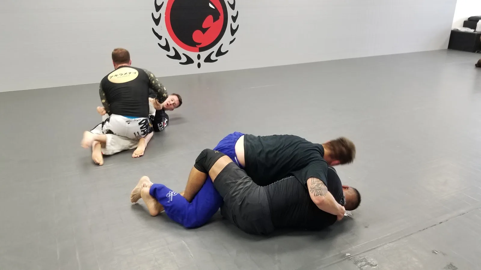 Renzo Gracie Bjj - Brazilian Jiu Jitsu Academy