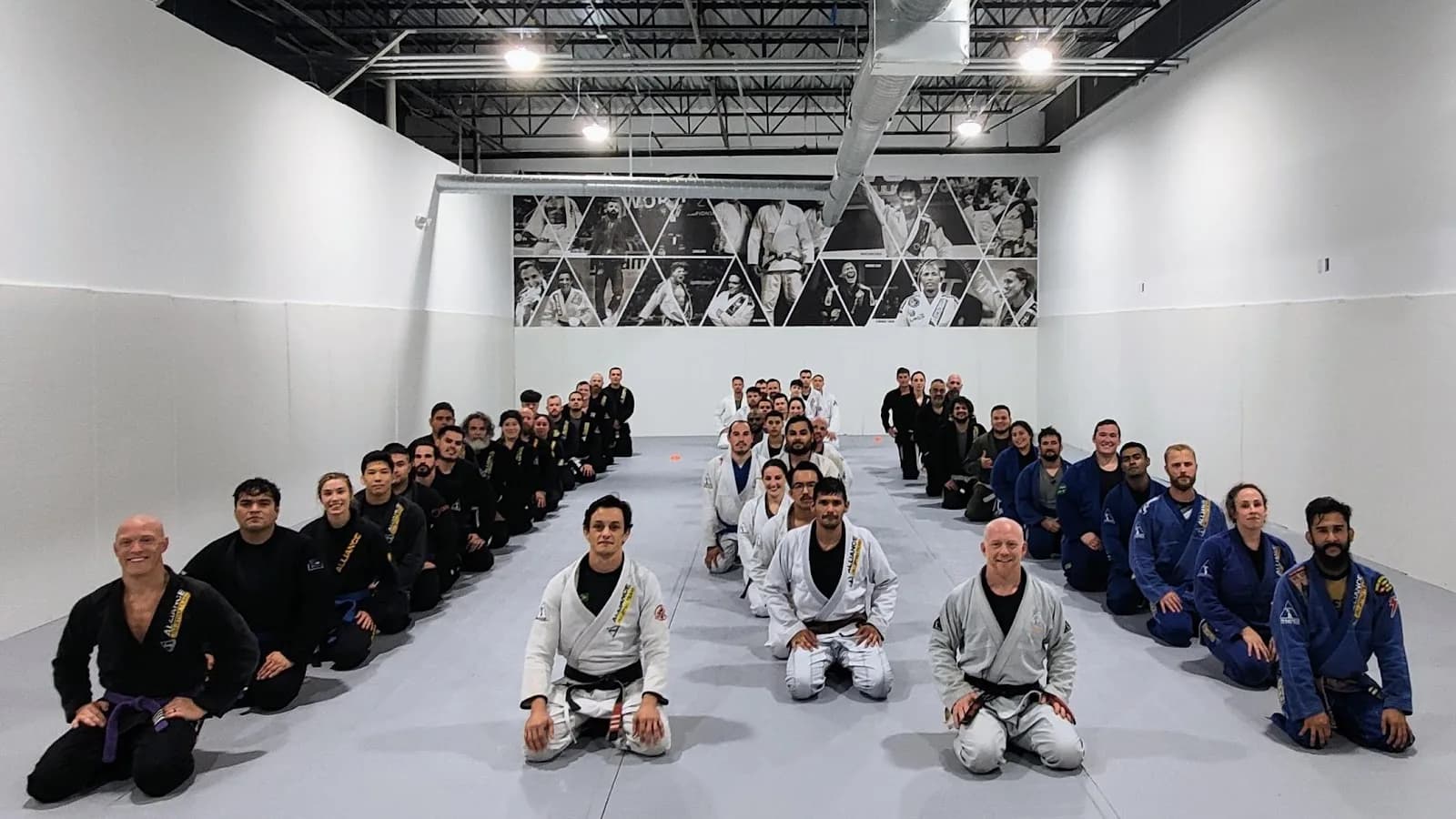 Alliance BJJ Houston - Houston — BJJ gym in Houston