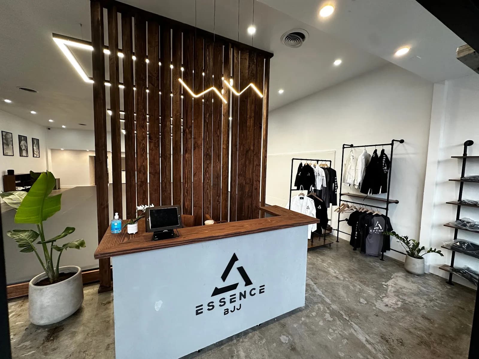 Essence BJJ Danville
