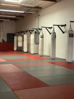 USKO One Jiu Jitsu - Anaheim — BJJ gym in Anaheim